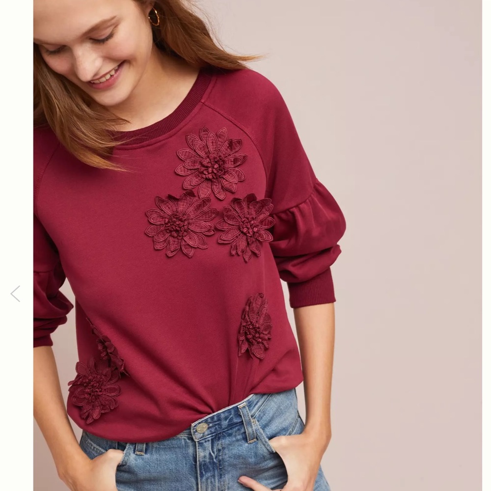 Blue Tassel  Floral Applique Sweatshirt